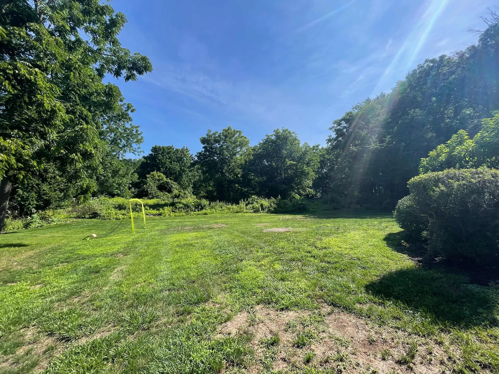 The backyard and preserve beyond